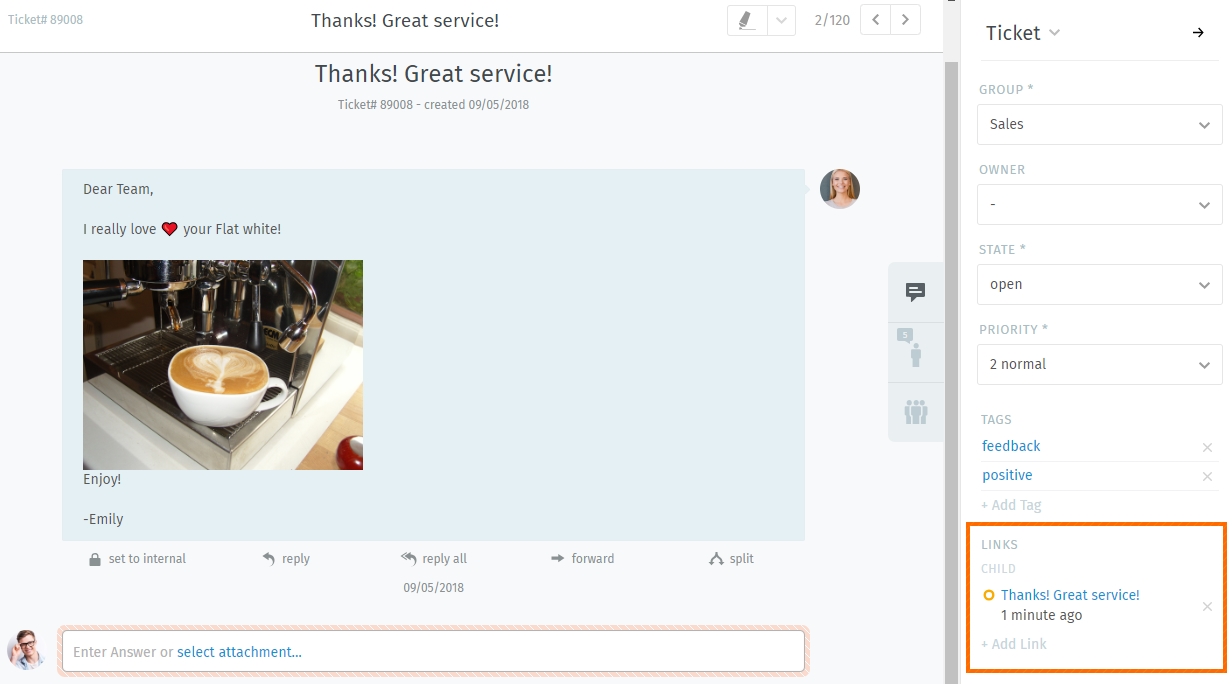 Ticket pane: Links