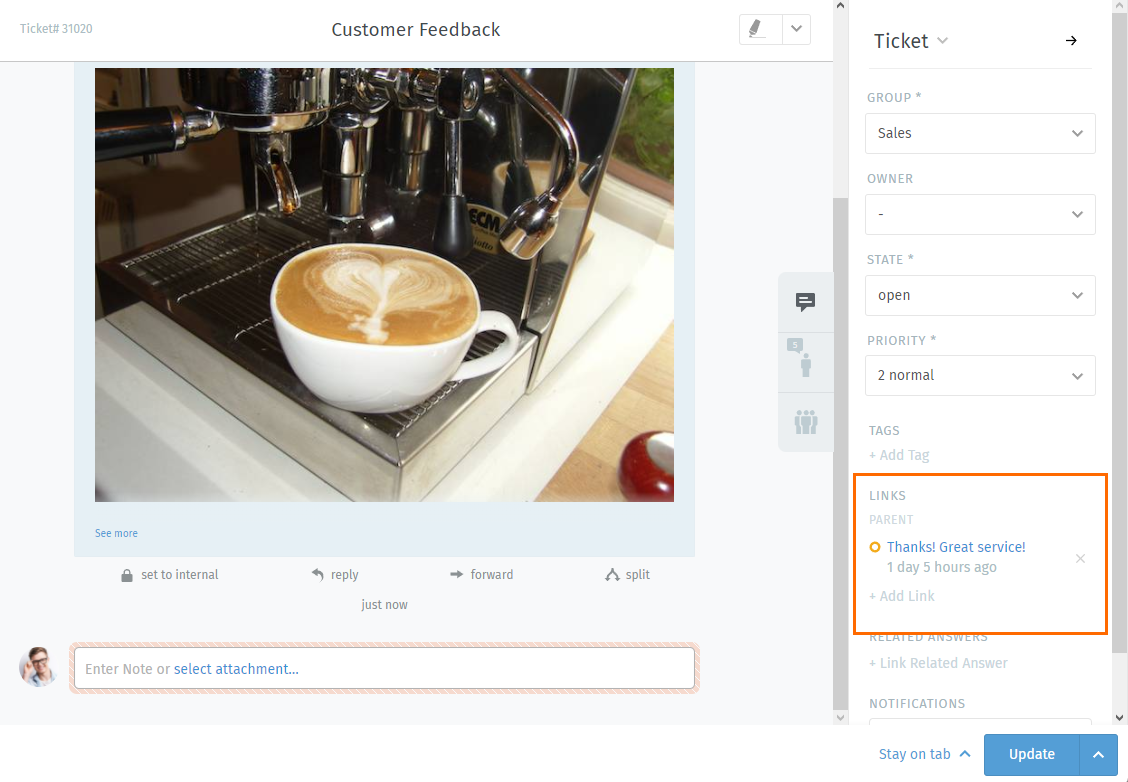 Ticket pane: Links